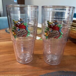 Two (2) large tervis tumblers
